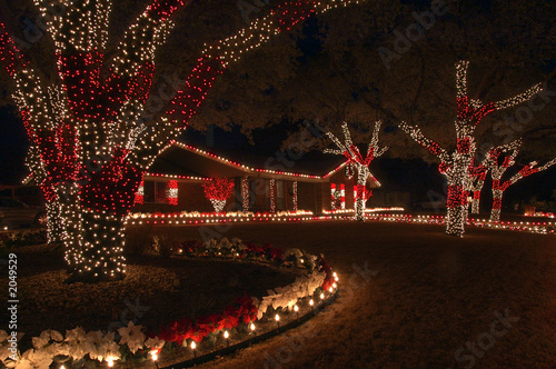 red and white christmas lights