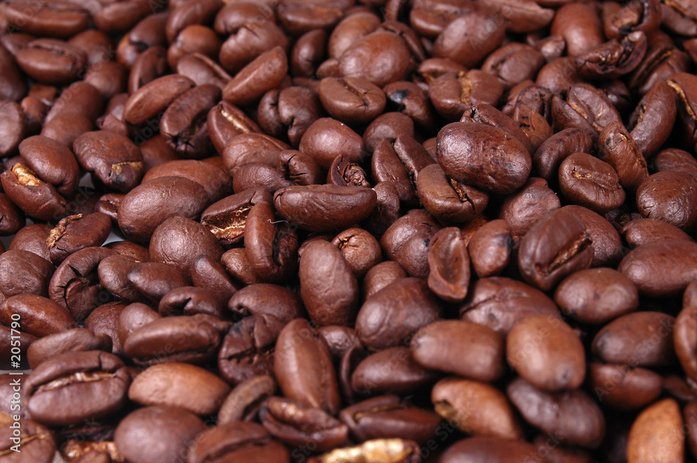 Naklejka premium coffee beans 3