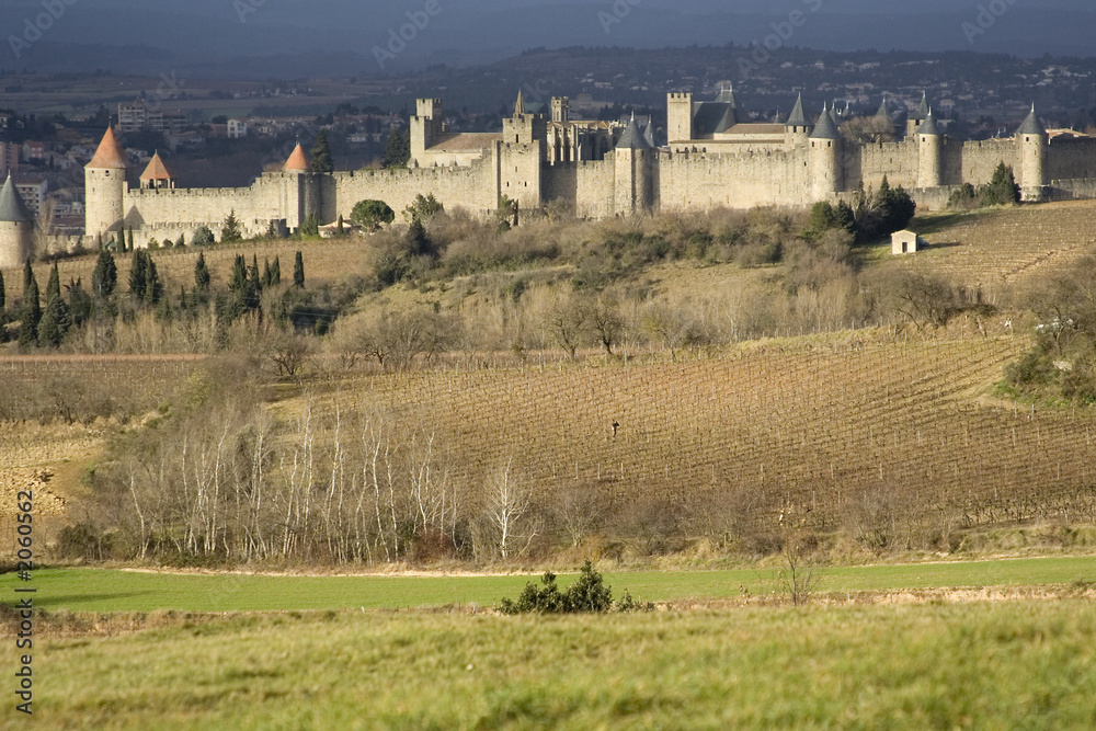 carcassonne cité médiévale