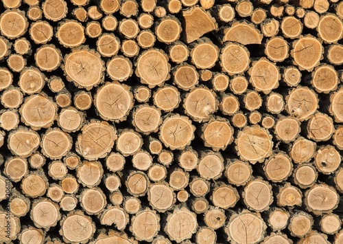 wood markings