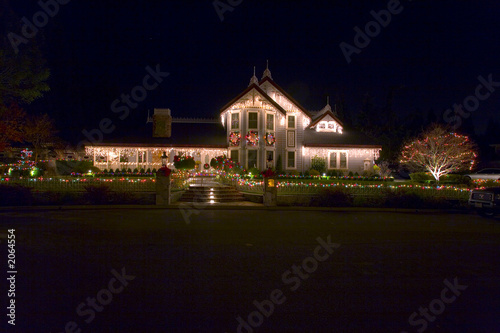 christmas lights on a traditional home