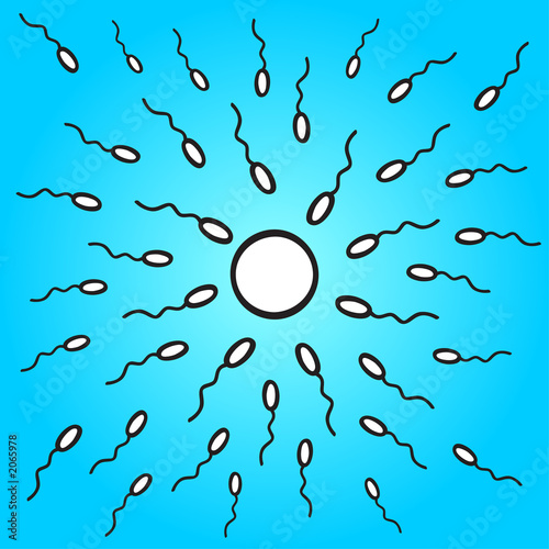 spermatozoids