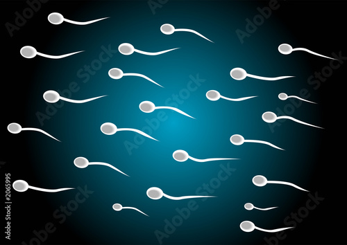 spermatozoids photo