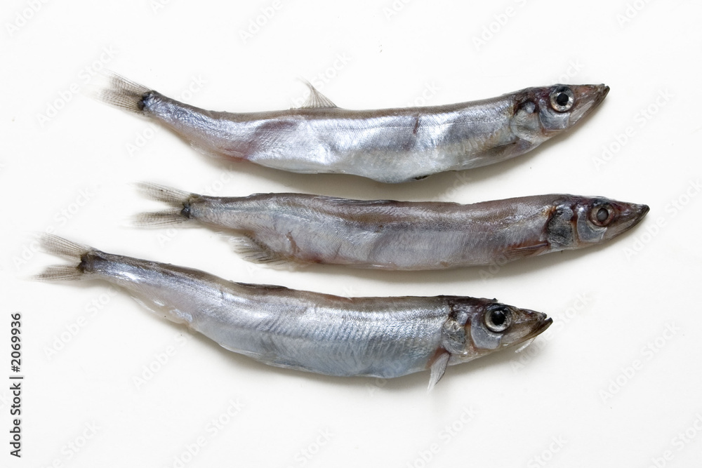 three fishes three fishes