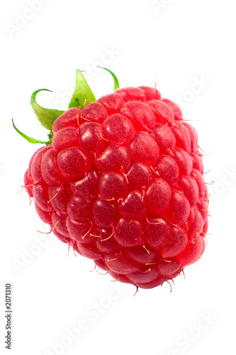 Tela raspberry