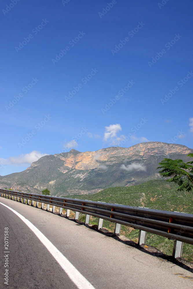 Naklejka premium the run