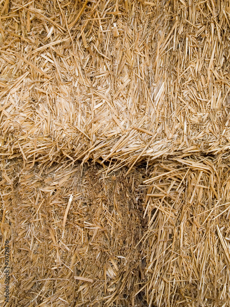 hay bale closeup hay bale closeup