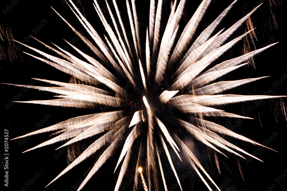 Obraz premium feu d'artifice