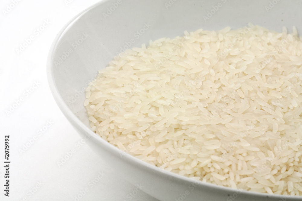 white rice white rice