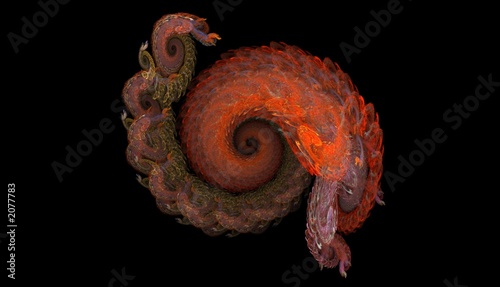 abstract fractal snail photo