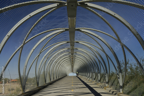 tucson snake bridge interior