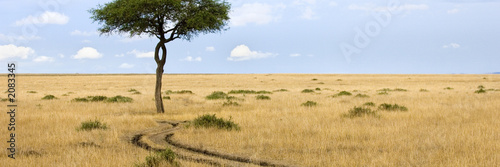 masai mara photo
