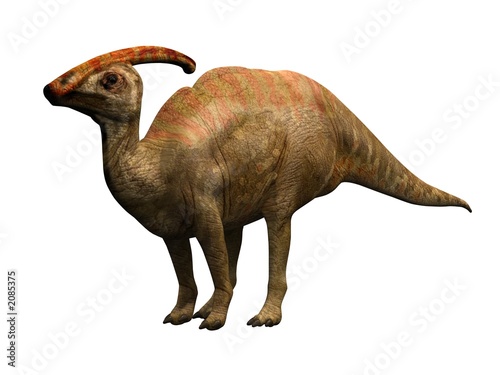 parasaulophus the dinosaur © Ericus
