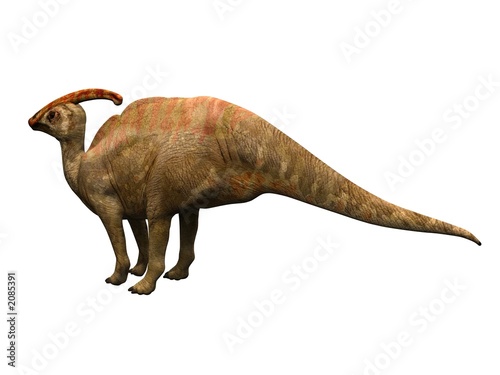 parasaulophus the dinosaur © Ericus
