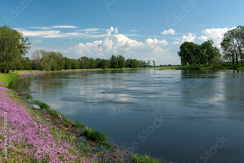 elbe photo