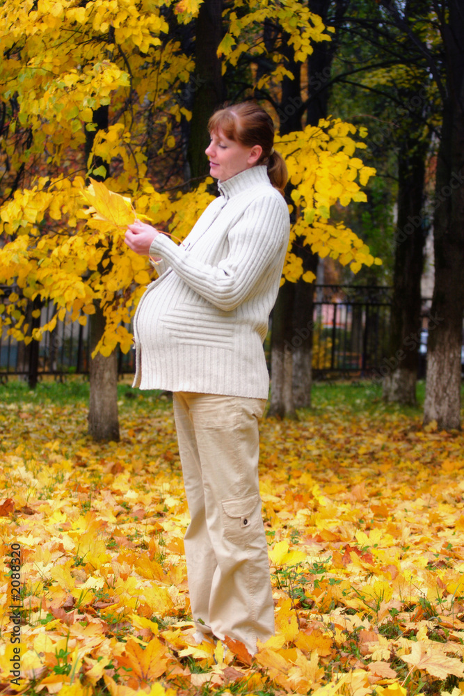 pregnant woman in autumn park hold maple leaf #1 pregnant woman in autumn park hold maple leaf #1