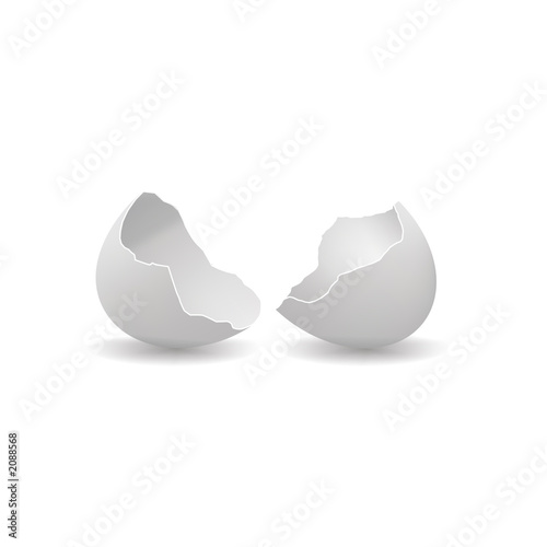 egg shell