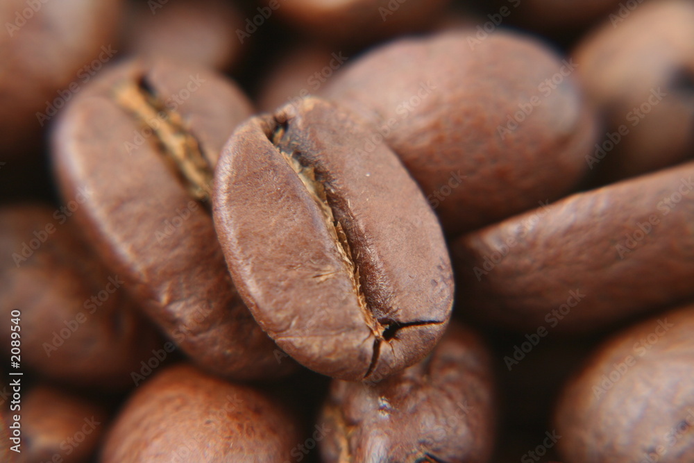 Obraz premium coffee beans