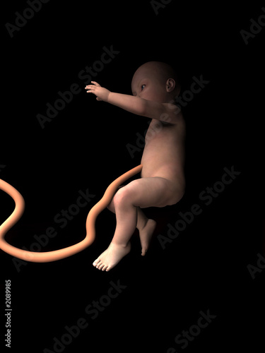 Wallpaper Mural baby in womb 3 Torontodigital.ca