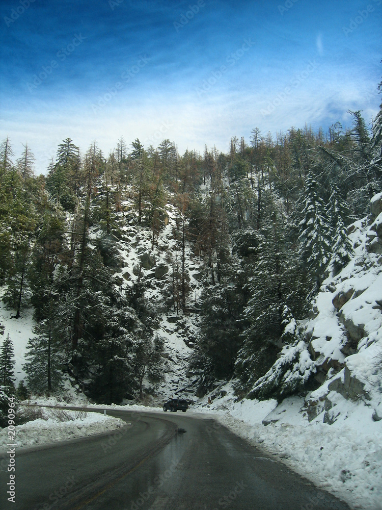california bear mtn 01 california bear mtn 01
