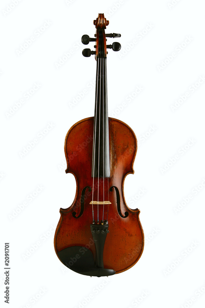 Obraz premium full violin