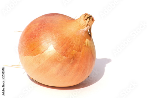 spanish onion photo