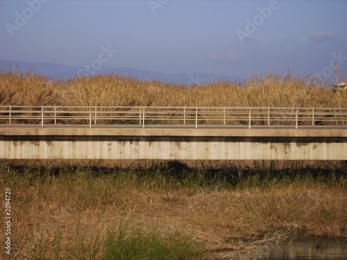 bridge over river with elephant grass