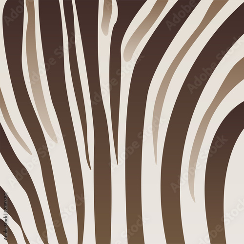 zebra pattern