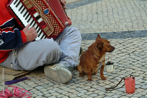 Fotografie beggar producing music in street