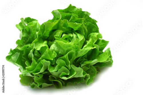 Photo butterhead lettuce 2