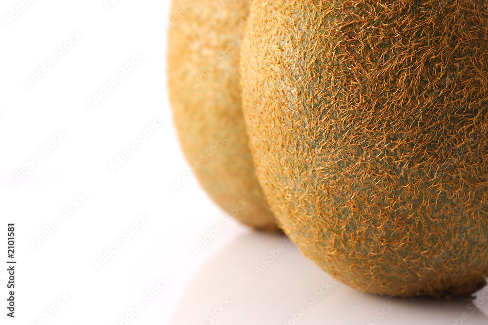 kiwi kiwi