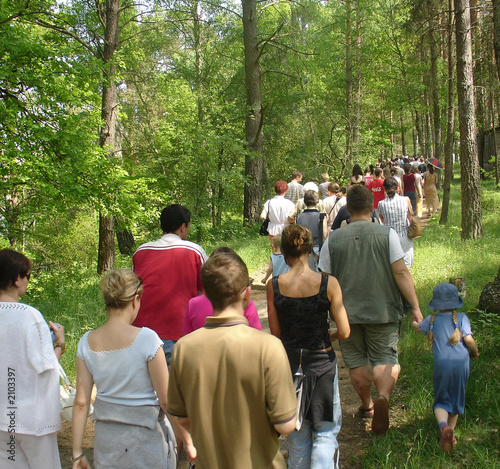 walk in the woods