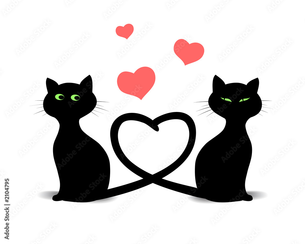 Fototapeta premium valentine cats