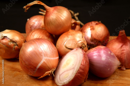 onion - oignon - zwiebel