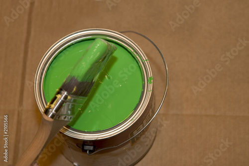 Fotografie Green Paint