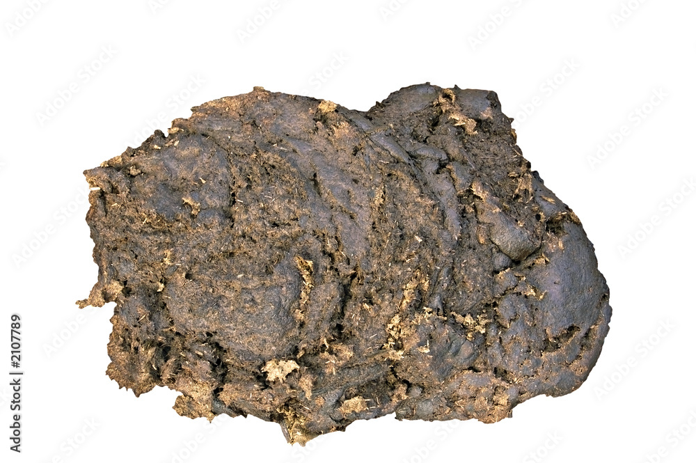 cowpat cowpat