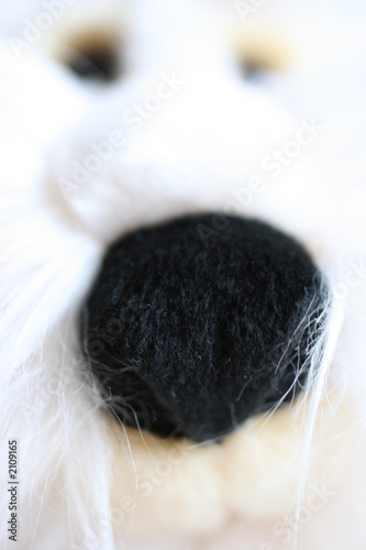 chien 2