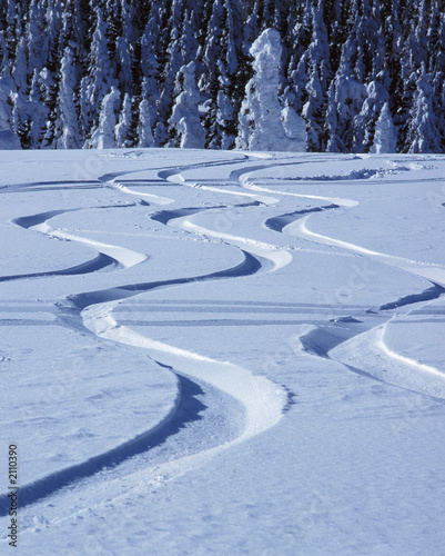 tracks in snow