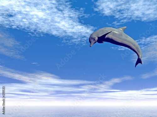 jump_dolphin © Sergey Tokarev