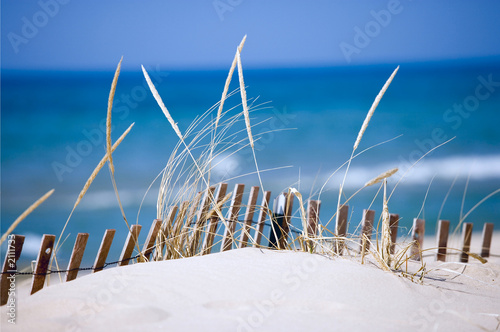 Slika na platnu lake sand dunes