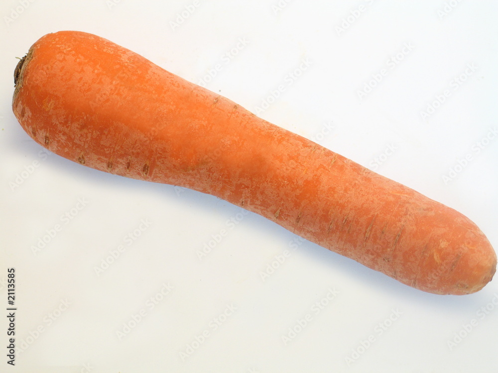 eine frische rohe Karotte freigestellt auf weißem Hintergrund eine frische rohe Karotte freigestellt auf weißem Hintergrund