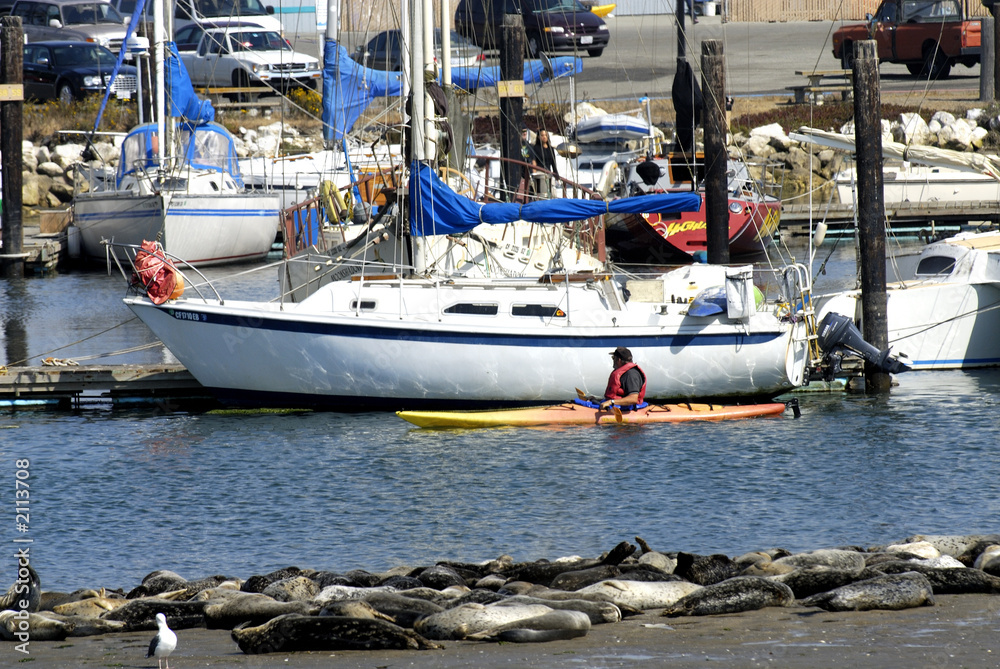 kajak and sailboat