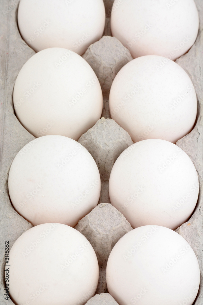 carton and eggs carton and eggs