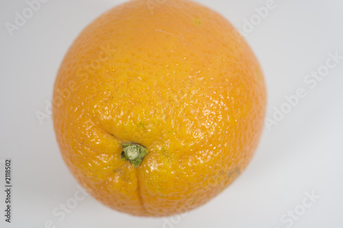 orange photo