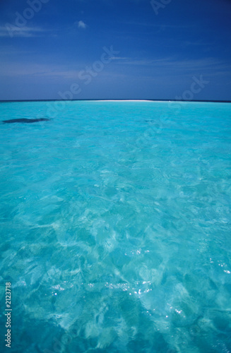 ari atoll, maldive