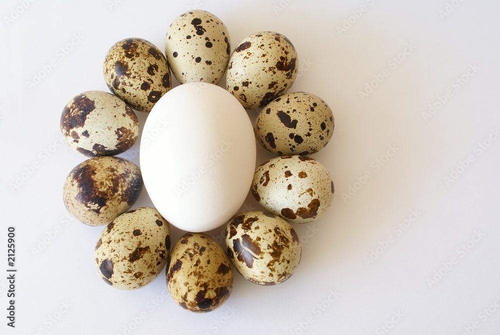 eggs over white eggs over white