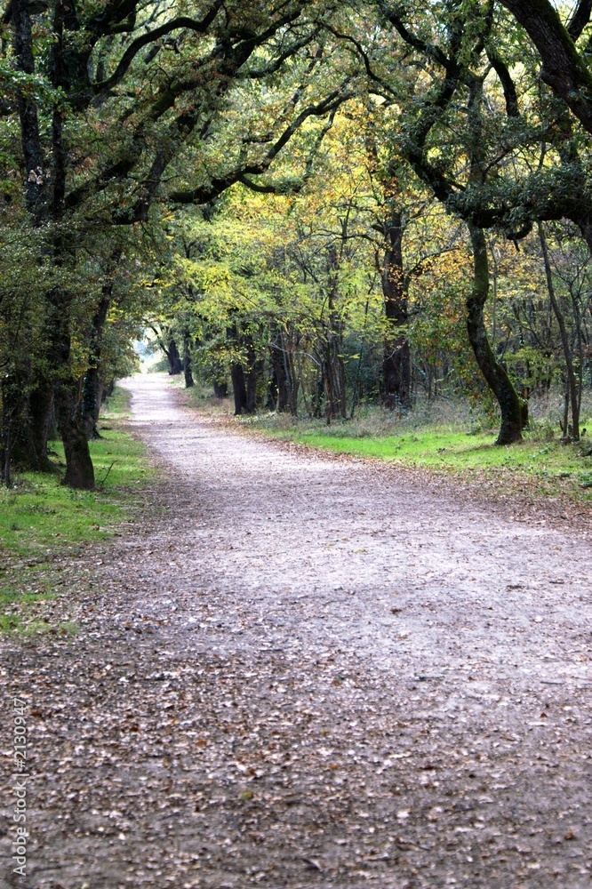 Obraz premium le sentier de brioudes