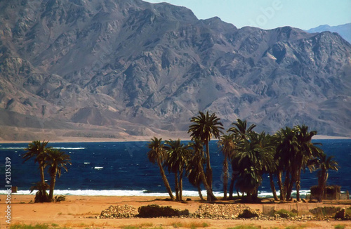 paysage d'aqaba (jordanie)