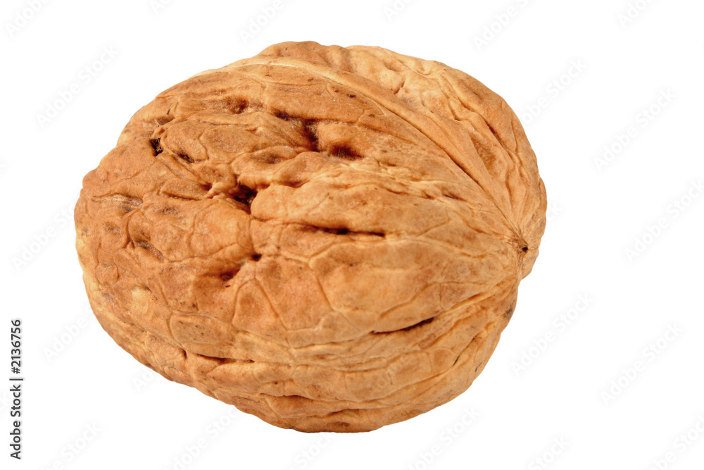 walnut walnut