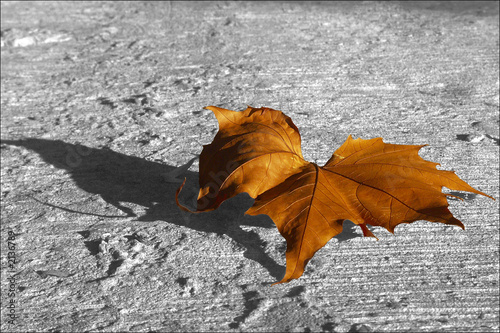 gold leaf
